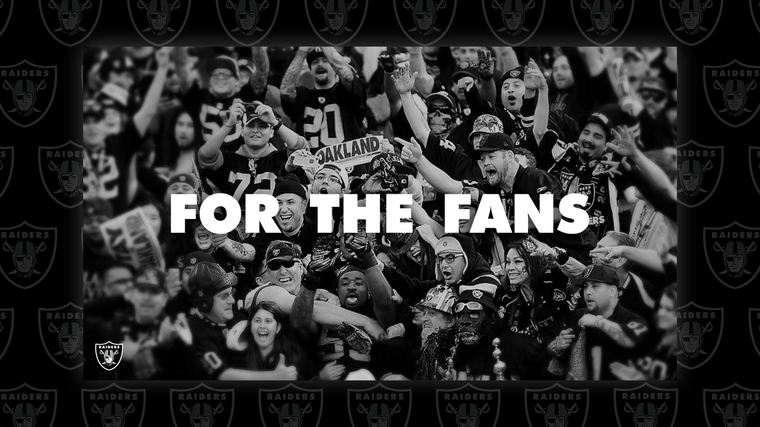 Stadium-Fan-Van_Cover-image.png
