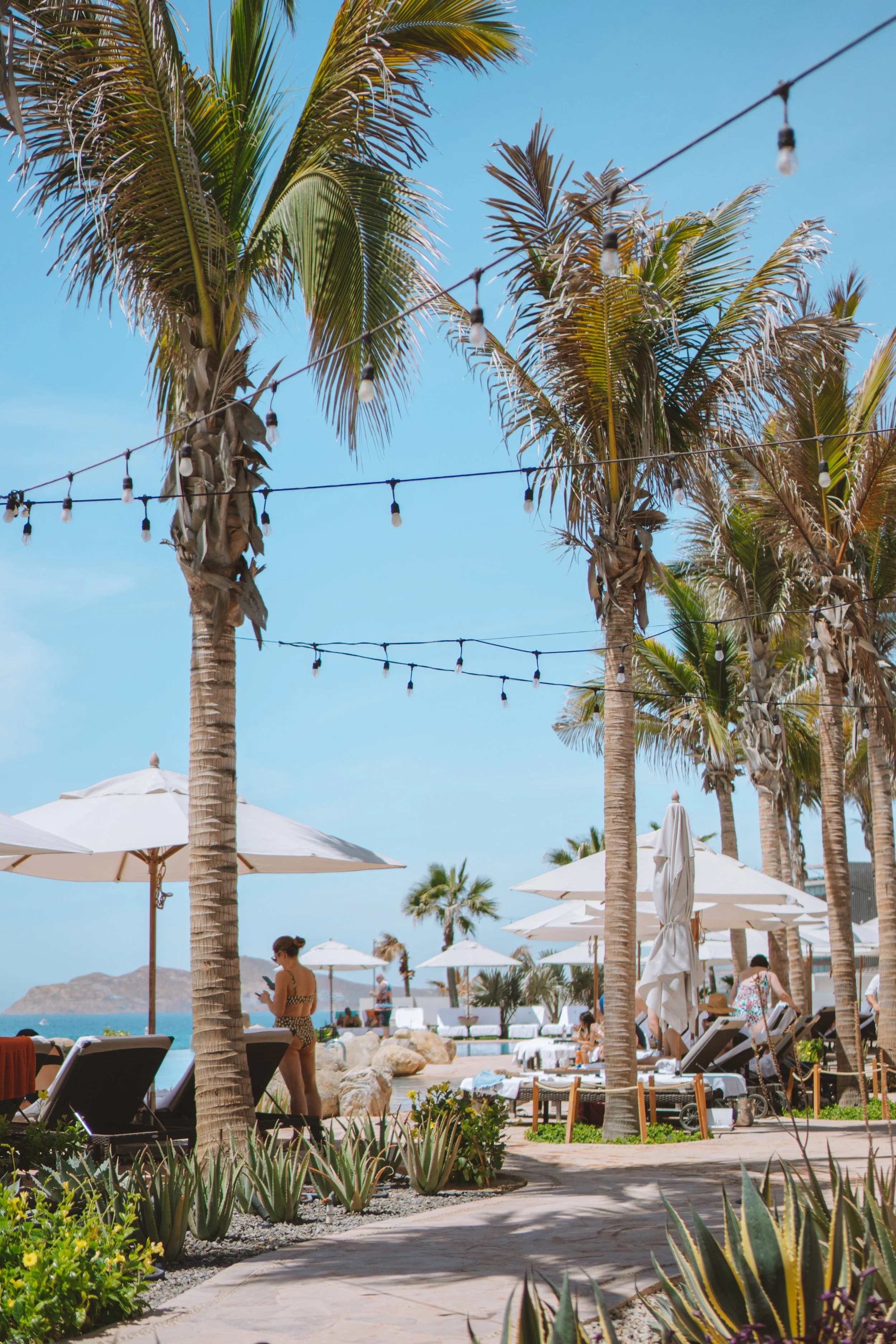 A beach scene with palm trees, white umbrellas, lounge chairs, and people relaxing. String lights hang between the palm trees, and there is a view of the ocean and distant islands under a blue sky.