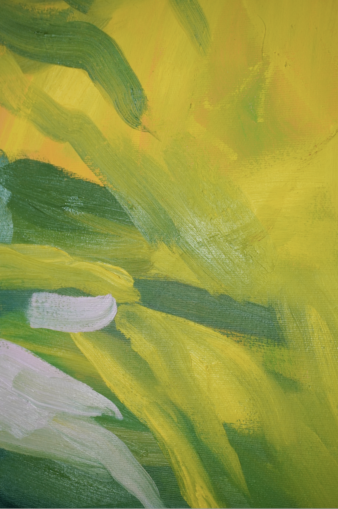 Meet Me in the Field (close-up 2) smaller.png