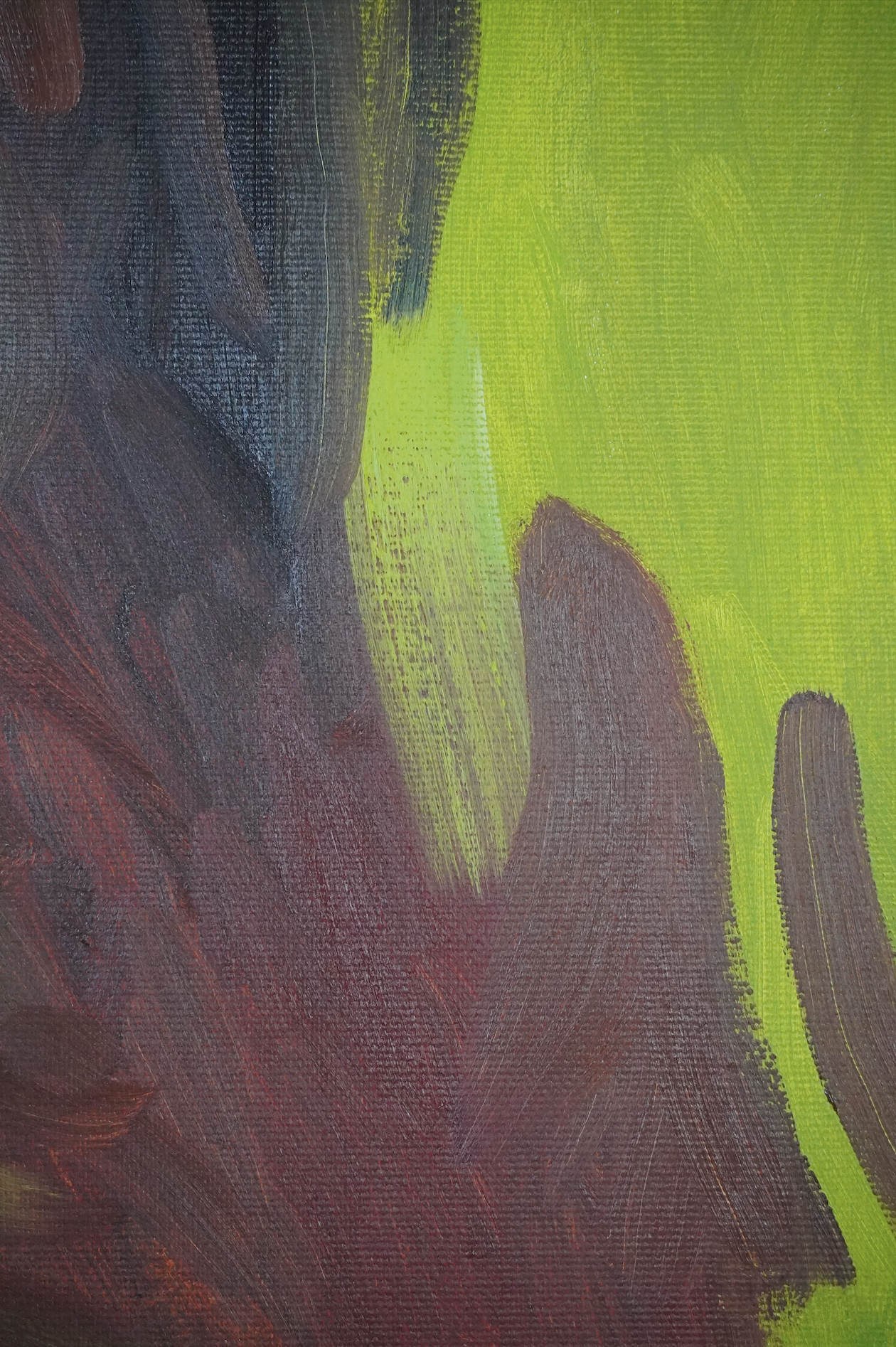 Red Earth II (close-up 1) smaller.png