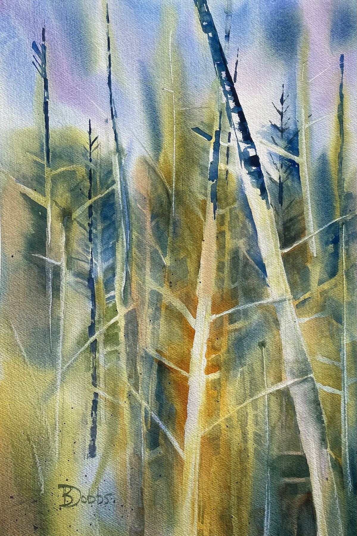 PINACEAE 1. 22" X 15" $750