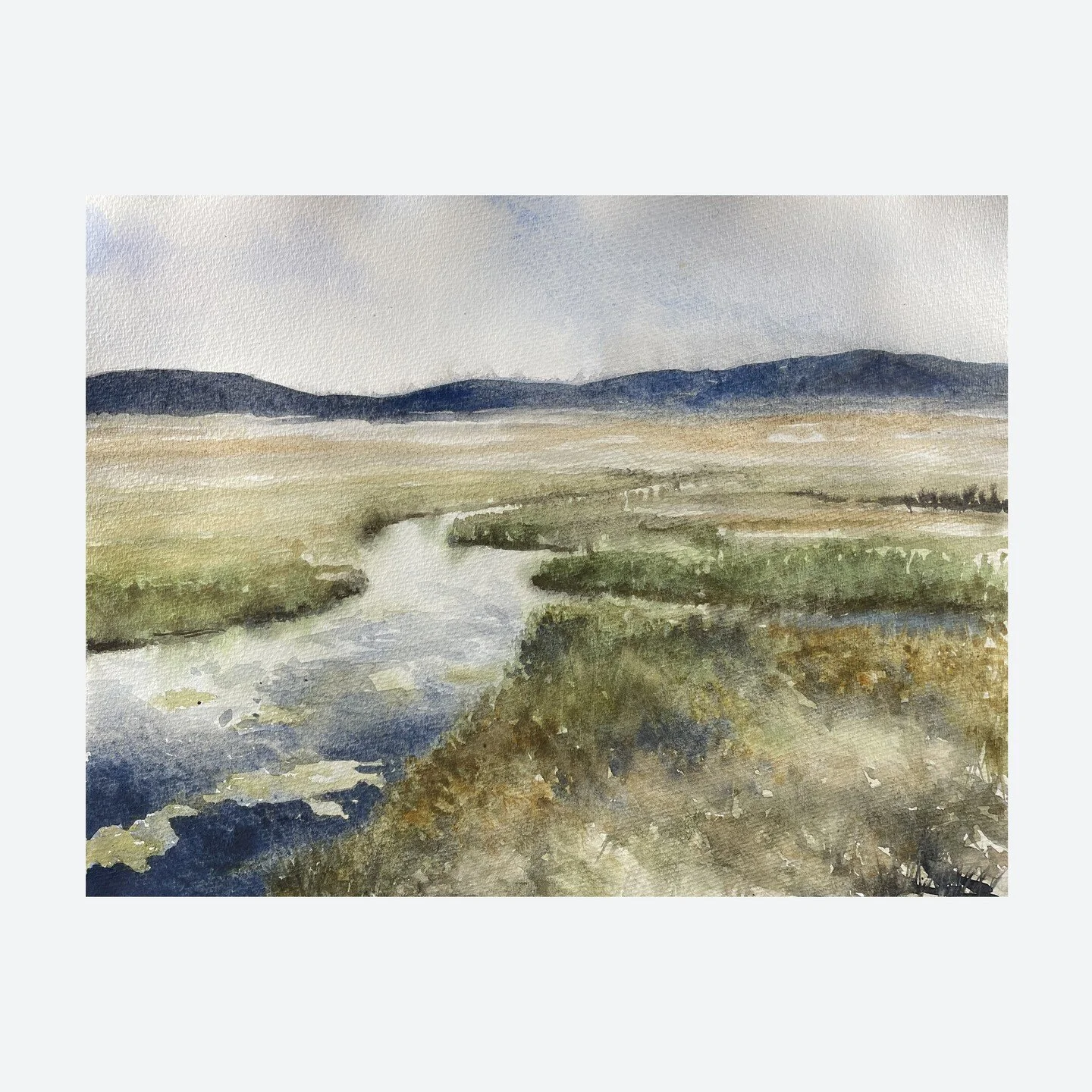 Some of the pieces I completed while at the Artist's Studio &amp; Gallery this past weekend. It was a pleasure to meet some great artists. Thank you to all who stopped by.

#watercolorartist 
#localart 
#patriotplace