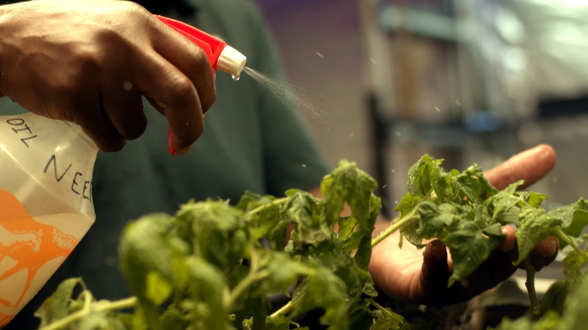 The Underground Kitchen