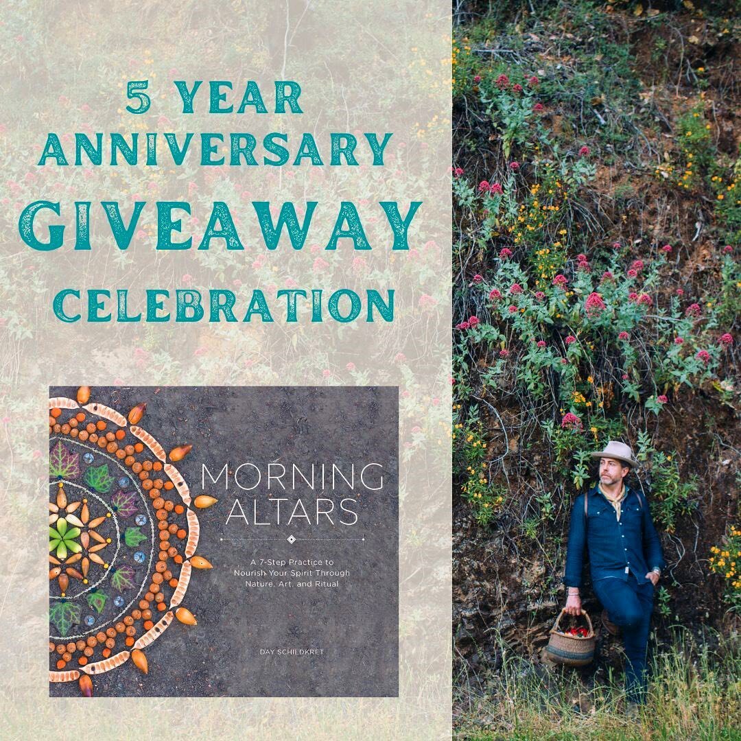 OMG! It's my book, &ldquo;Morning Altars&rdquo; 5-Year Anniversary! 🍾
 
5 years ago my first book, &quot;Morning Altars&rdquo; was published! Thousands of you have written to me over the years to share how this book has taught you, touched you, and 