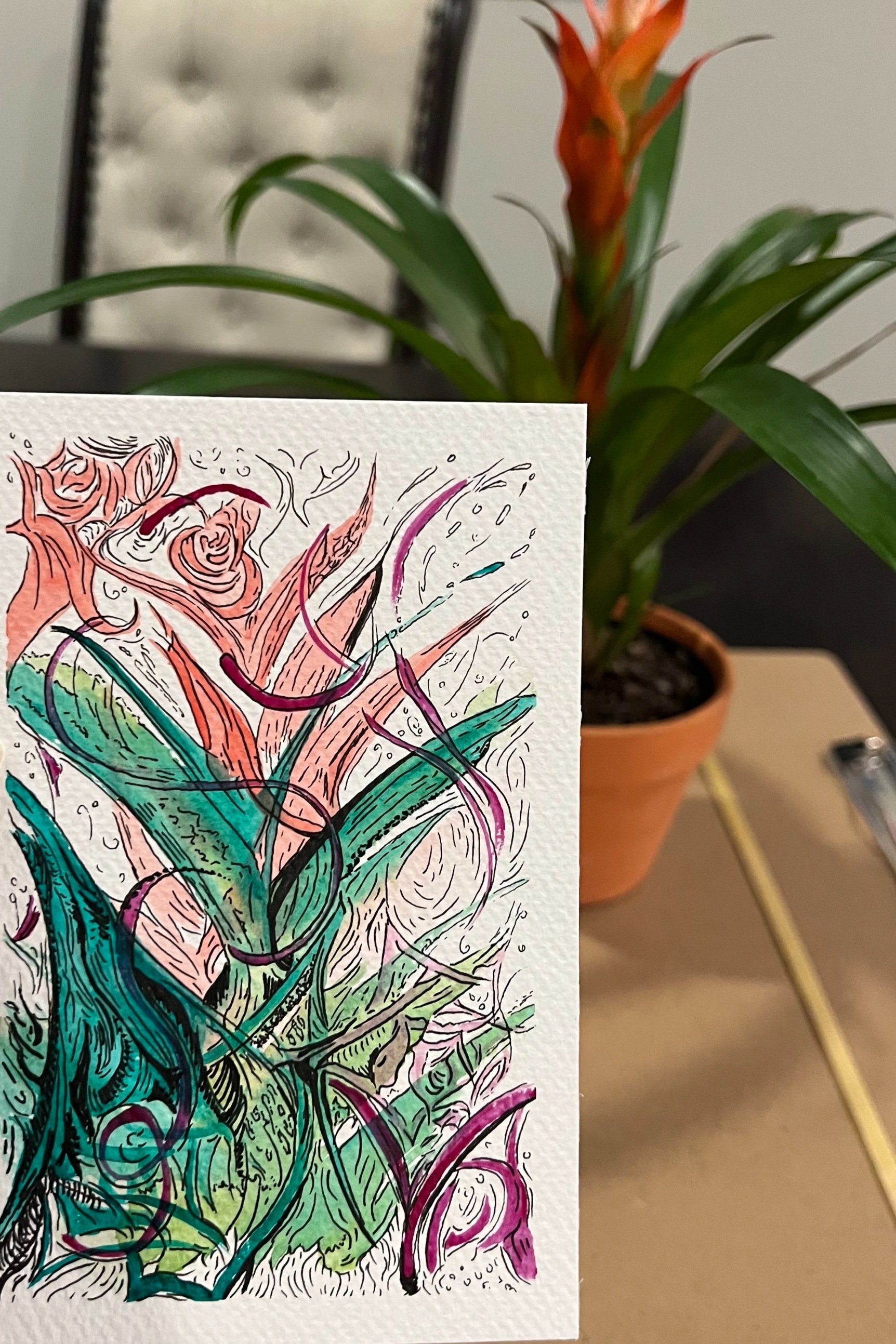 bromeliaceae