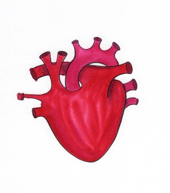 Heart watercolor layer