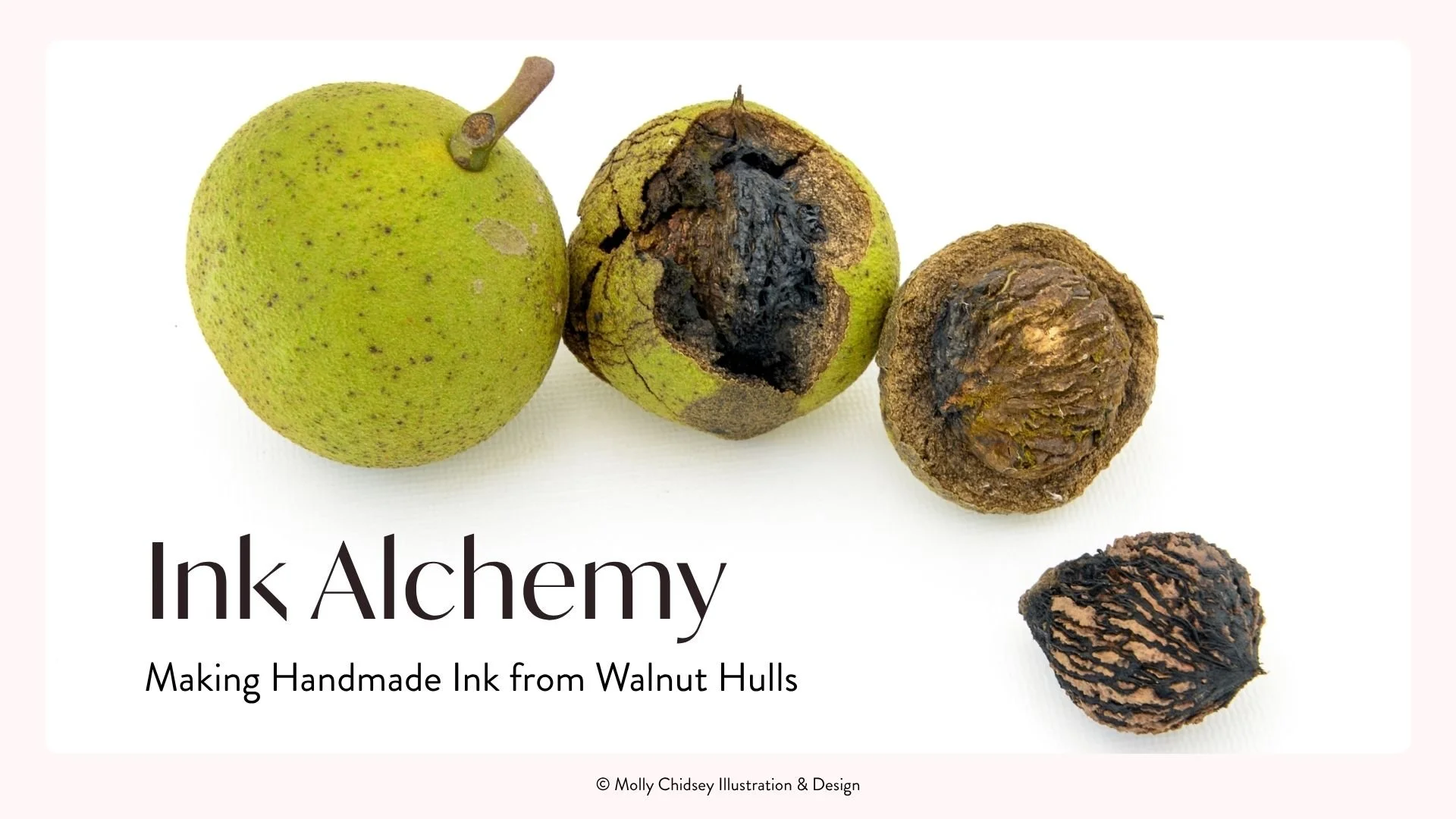 Tickets: Ink Alchemy: Making Handmade Ink from Walnut Hulls (11/7/2026)