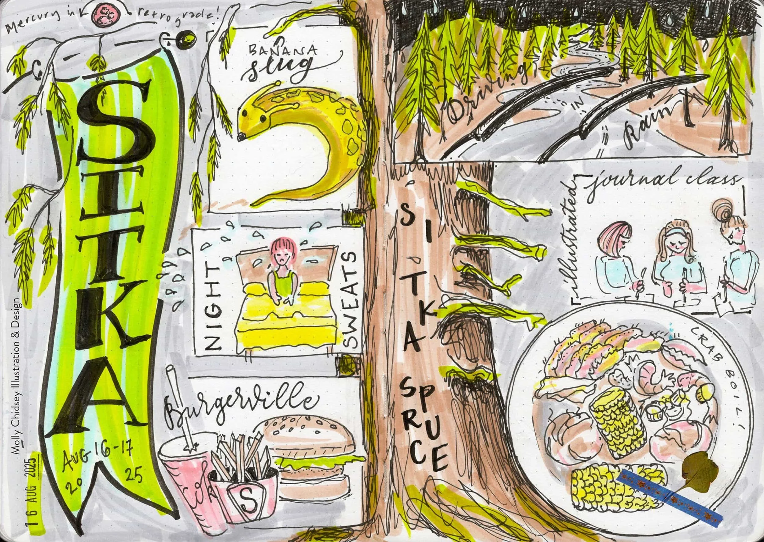 Illustrated Journal workshop at Sitka Center for Art and Ecology, Oregon Coast
