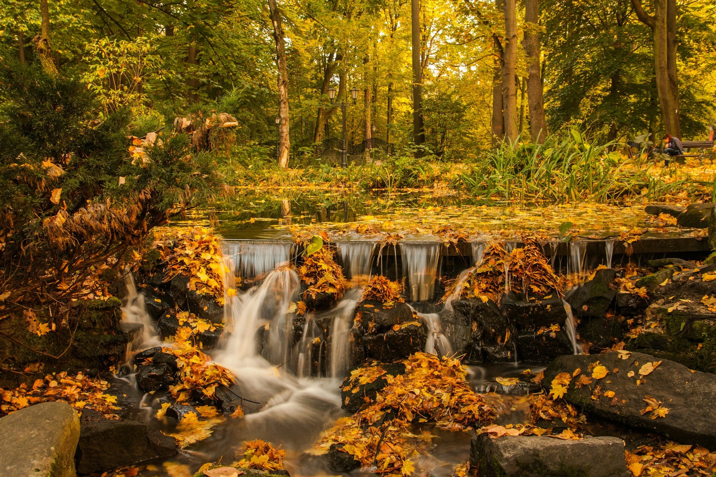 Cataracts and Aging: What Seniors and Families Need to Know