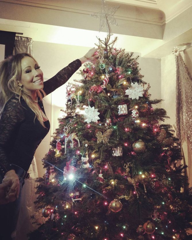 Mariah Carey - SoHo Trees - Professional Decorating Services.png