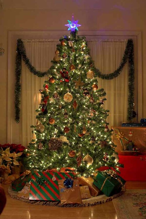 SoHo Trees | NYC Christmas Trees