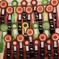 ribbons.jpg