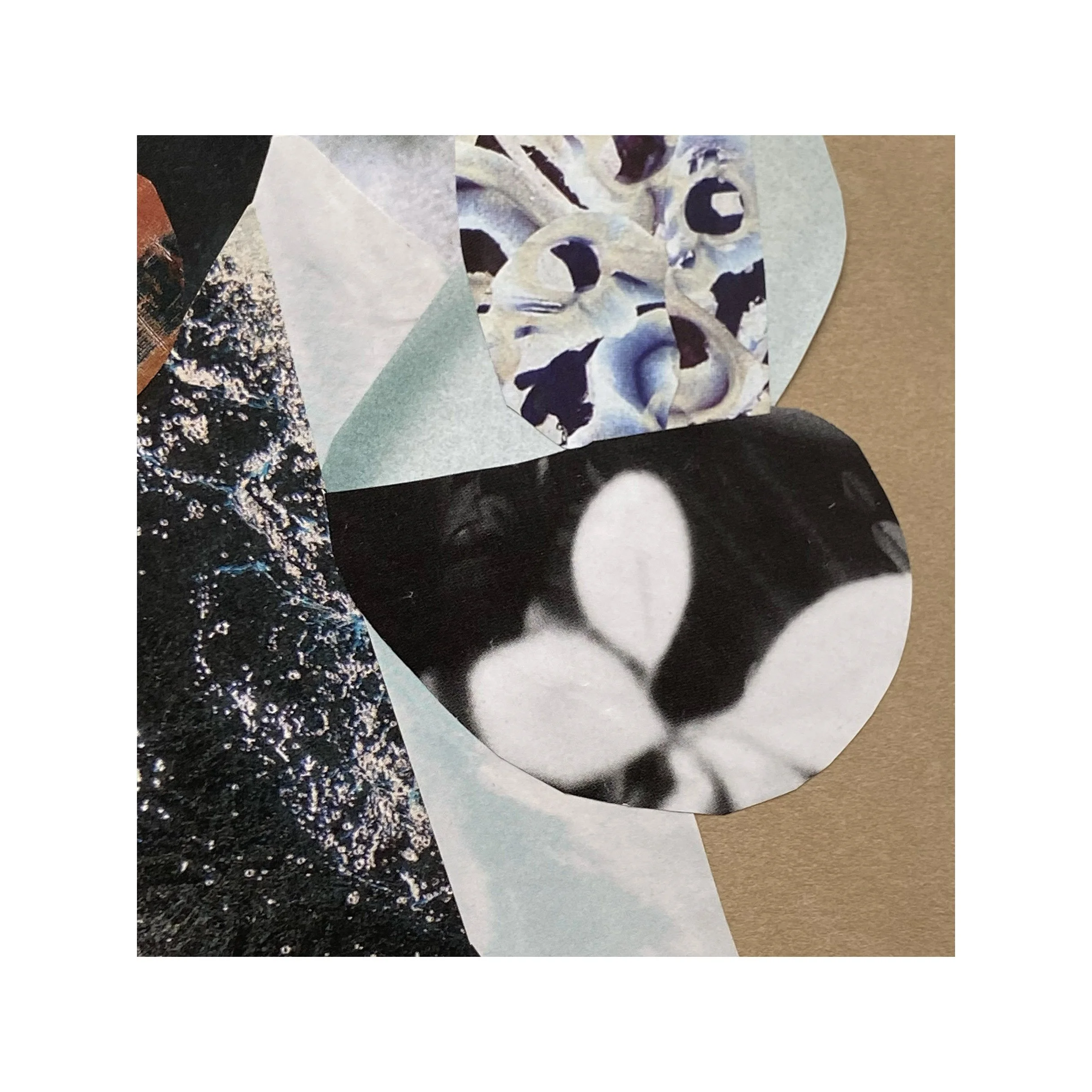 Whitagram-Image 5 (1).jpg