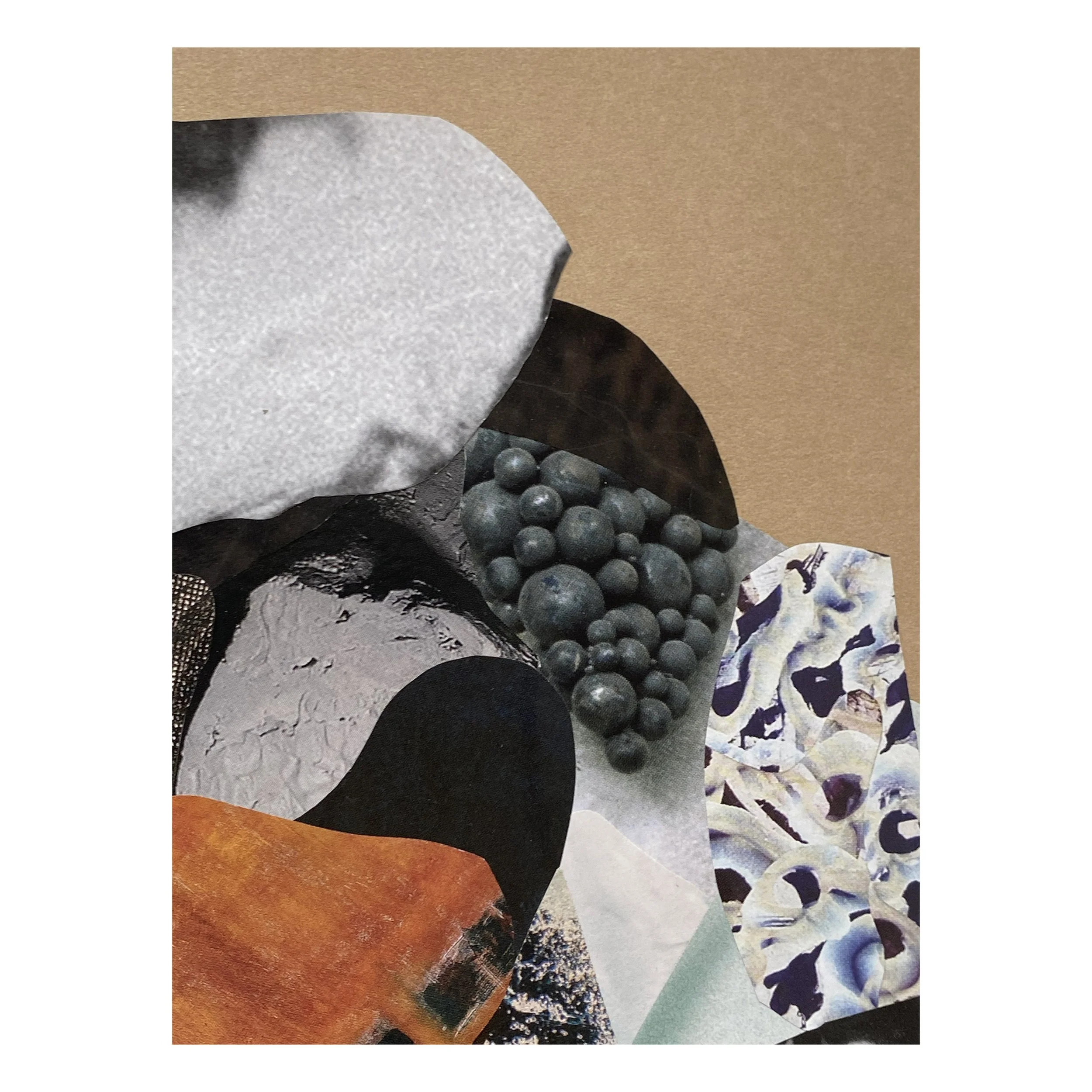 Whitagram-Image 6 (1).jpg