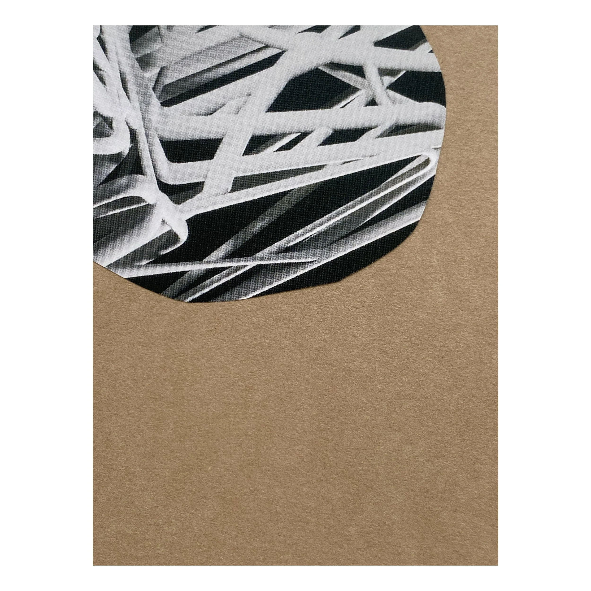 Whitagram-Image 7 (1).jpg