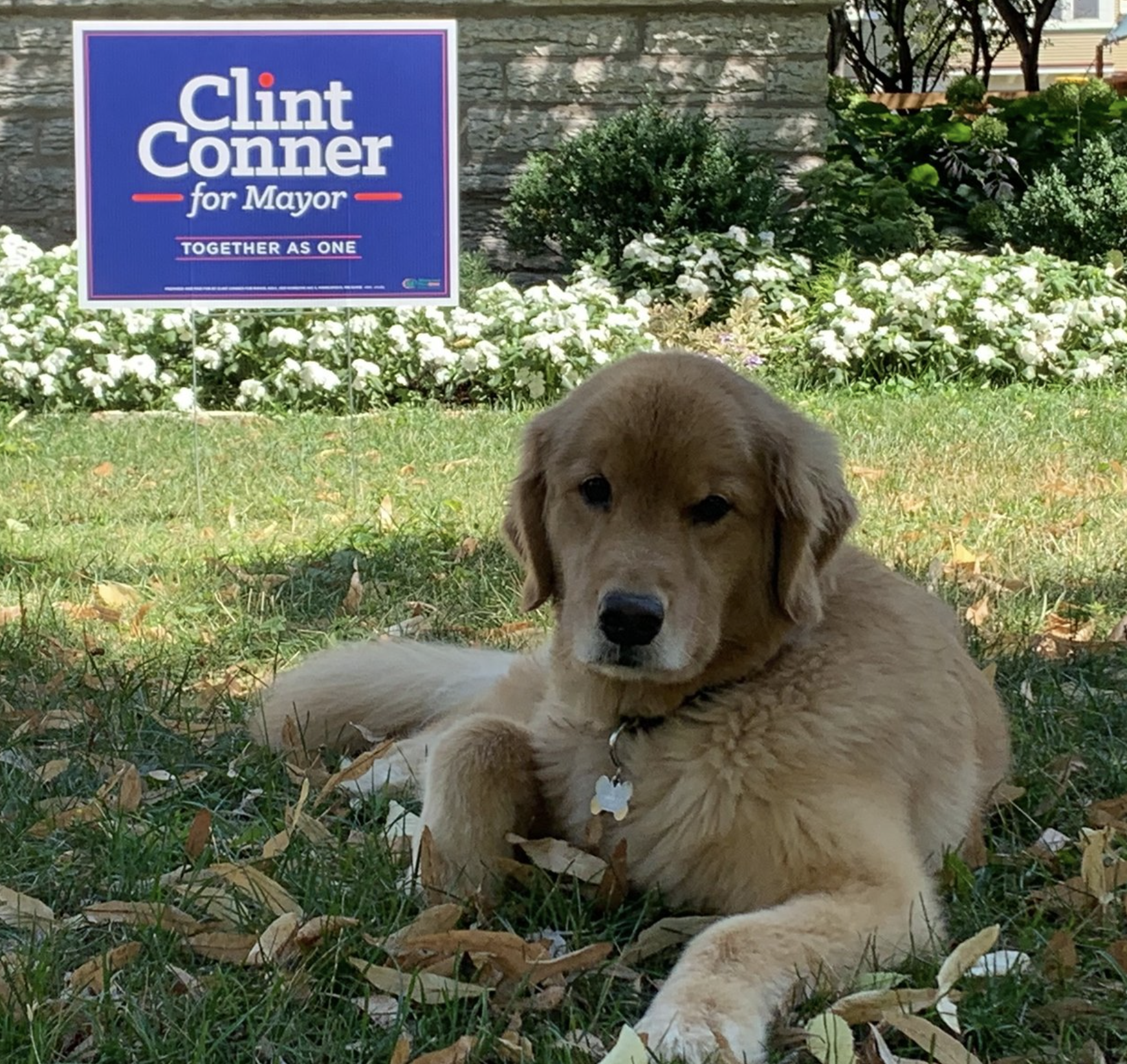 Dog laying next to Clint Conner lawn sign