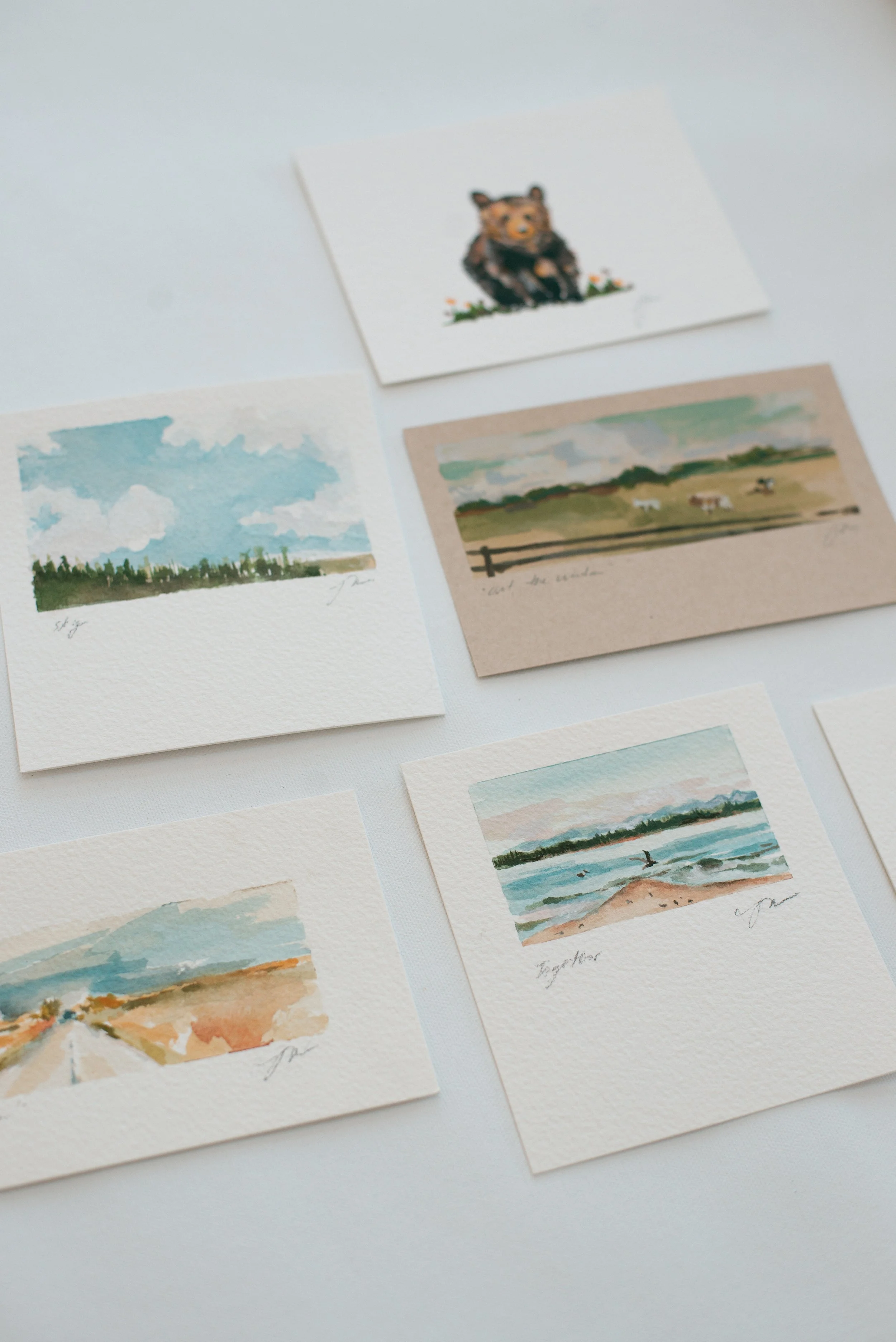 DSC_1970.jpg (Copy) (Copy)