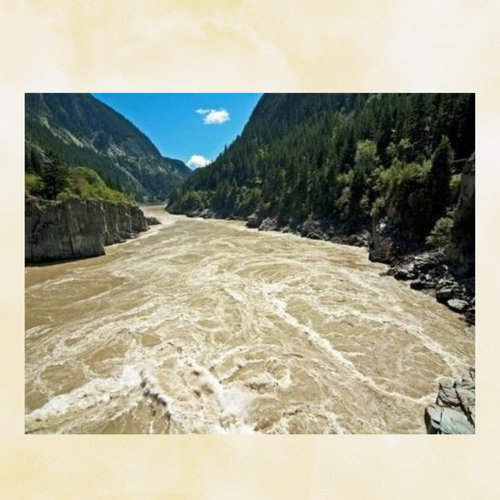 People collaborating together