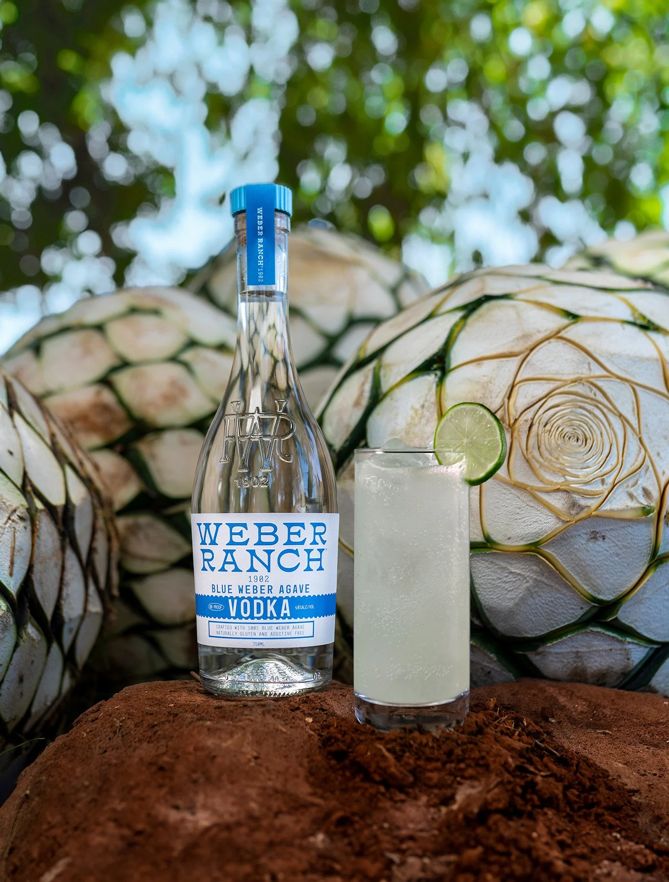 New daily deal added to the lineup:  Weber Ranch Blue Weber Agave Vodka. Weber hand selects and distills 100% blue Weber agave in Jalisco, Mexico before importing to the Weber Ranch Distillery in Muenster, Texas. The spirit is further distilled, filt