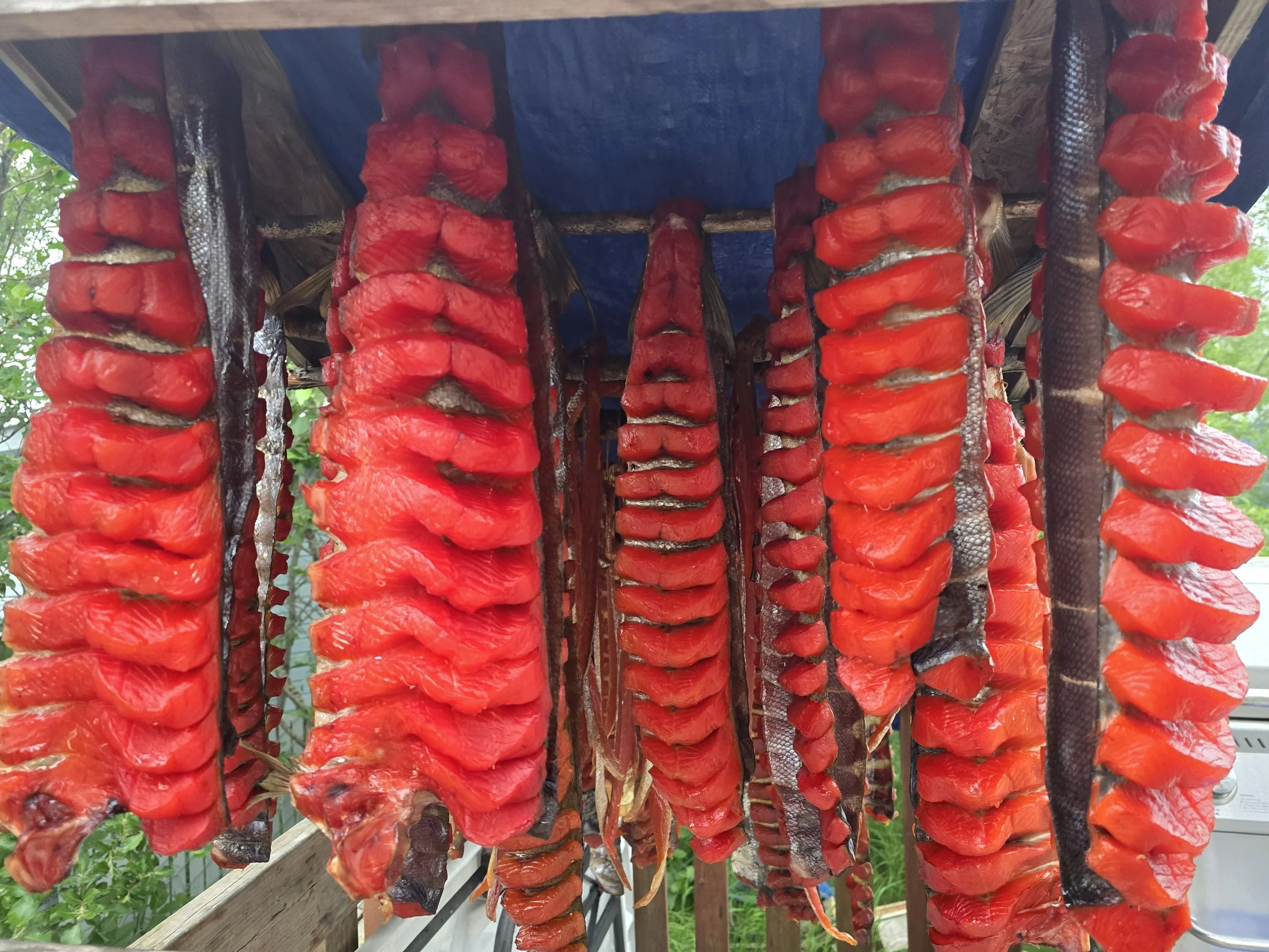 2025 Presentation on Kuskokwim Salmon Co-Management