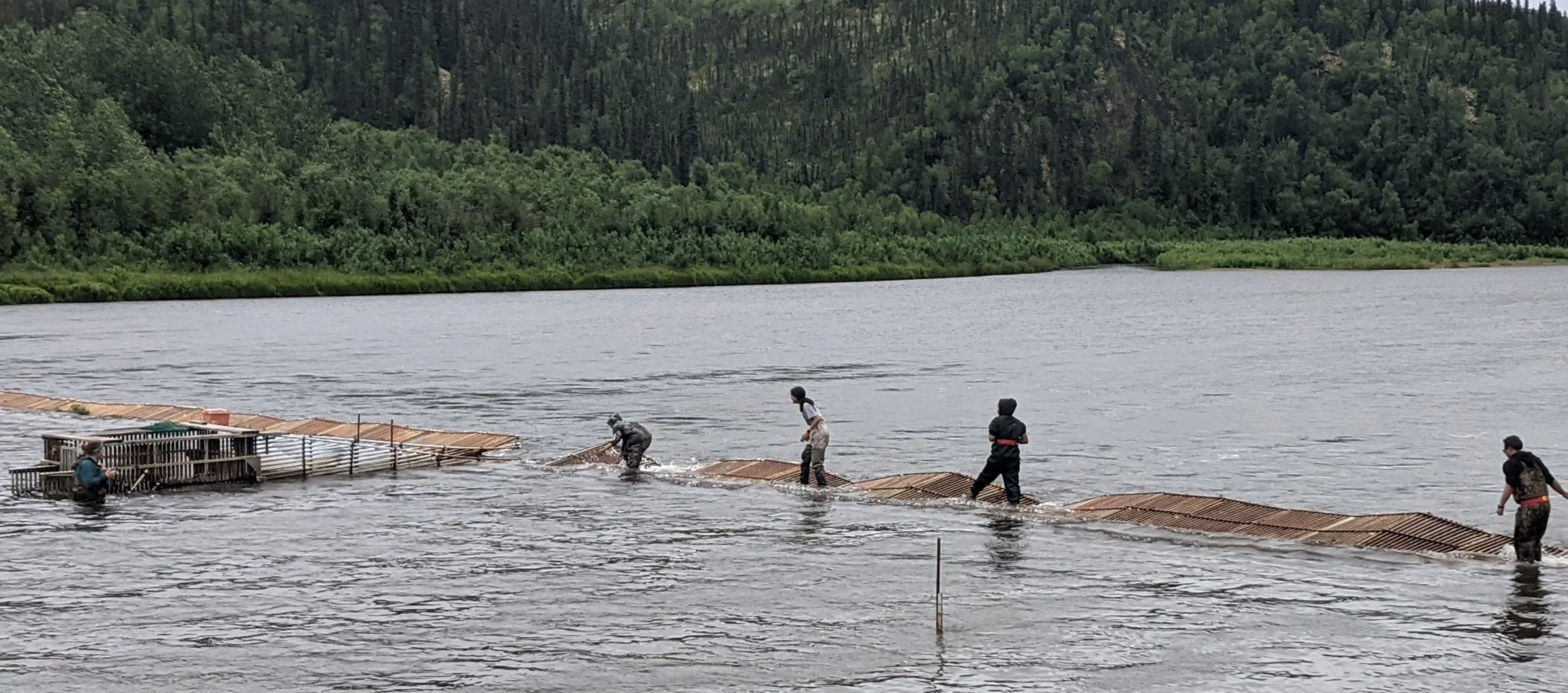 George River Weir (July 2021)