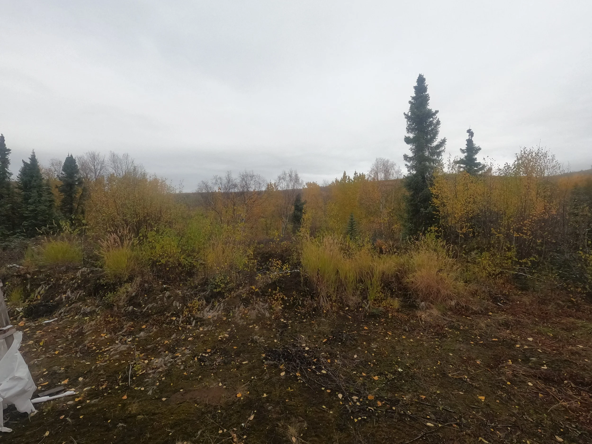 View from the Community Center (September 2021)