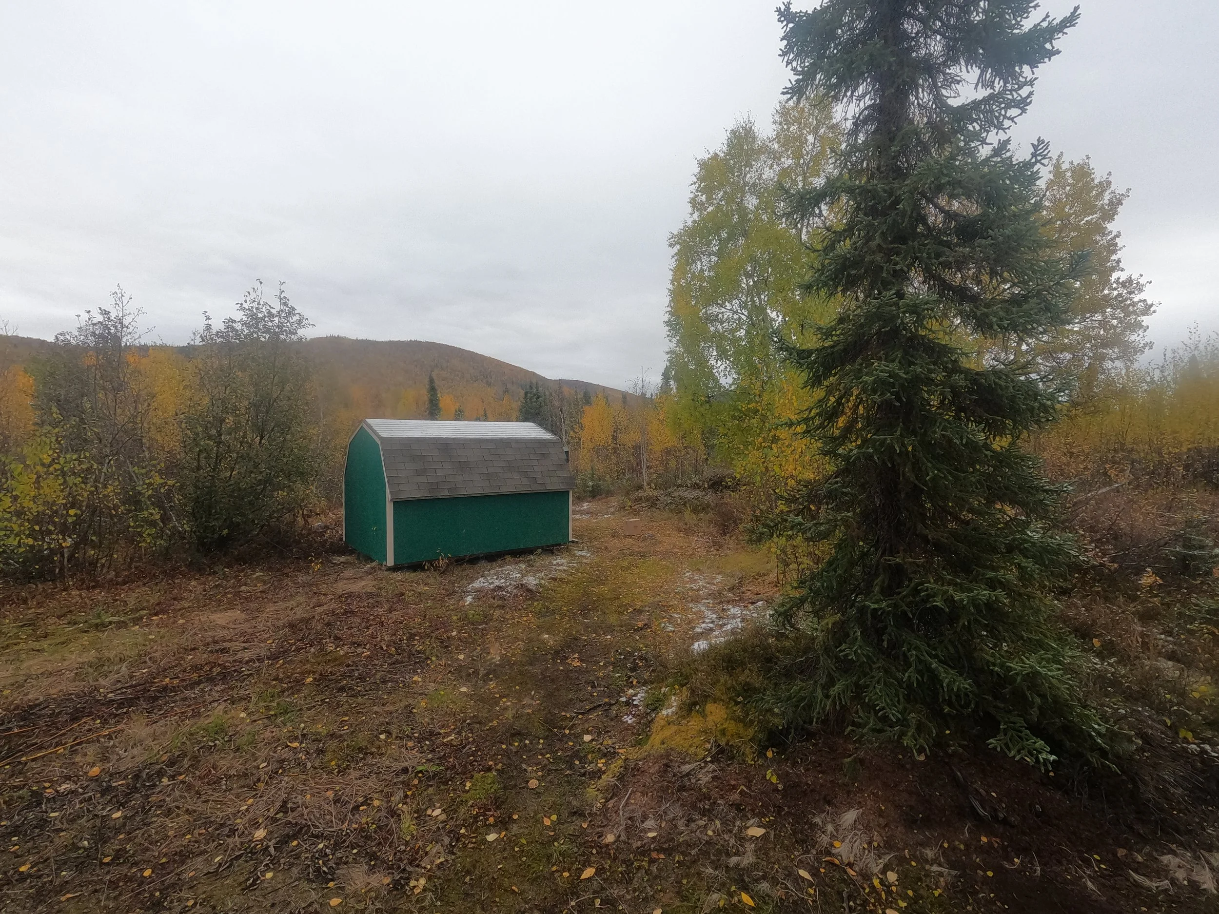 The Shed in the Fall  (September 2021)