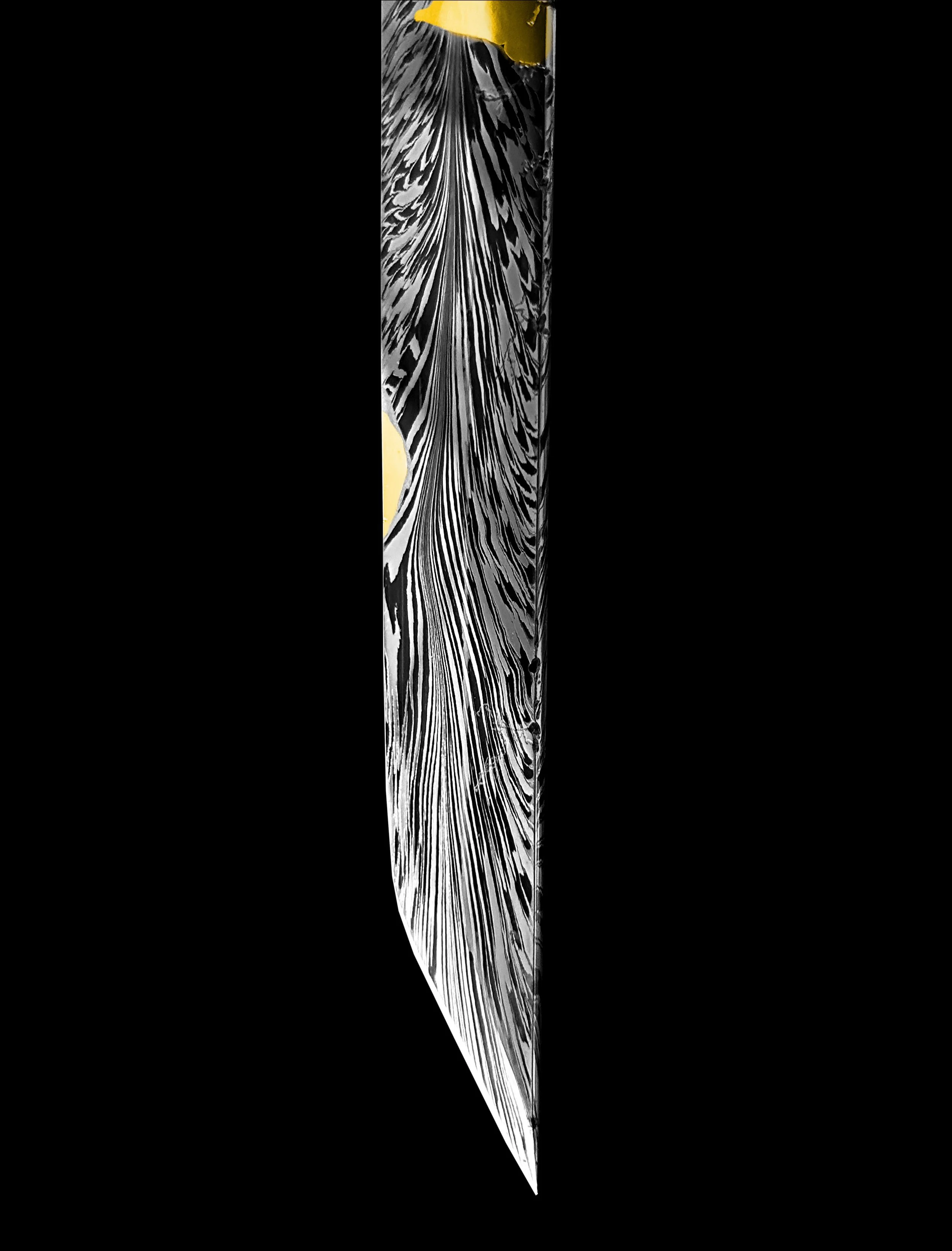 Aetos_Dios_Close_3.webp
