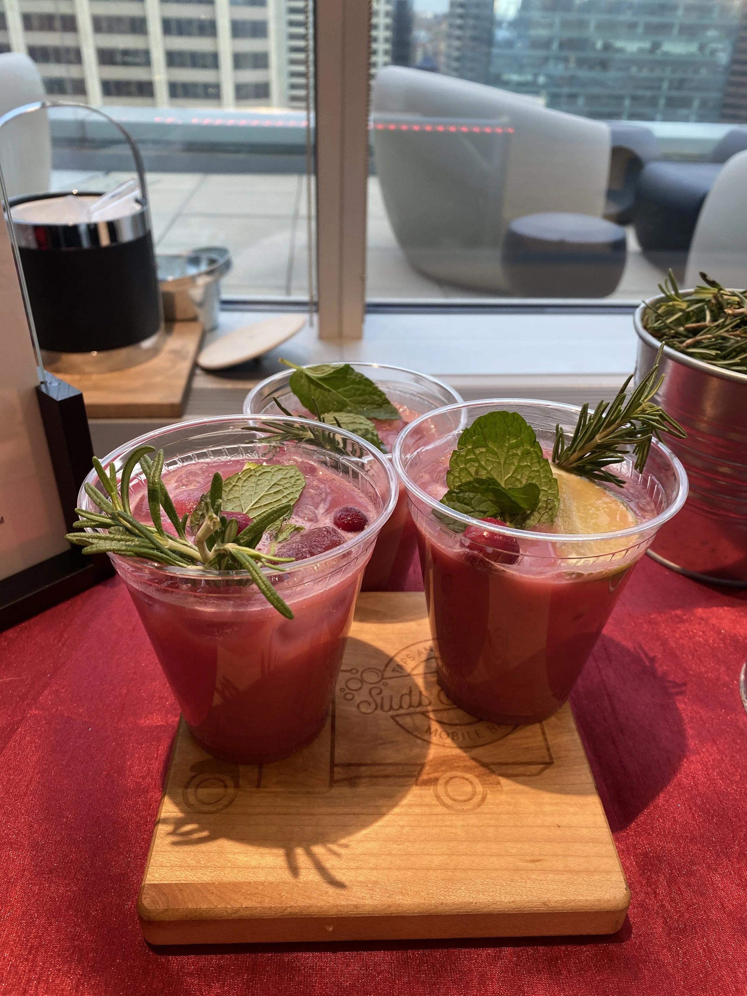 Suds & Sodas Cranberry Moscow Mule Cocktail Mocktail.JPG