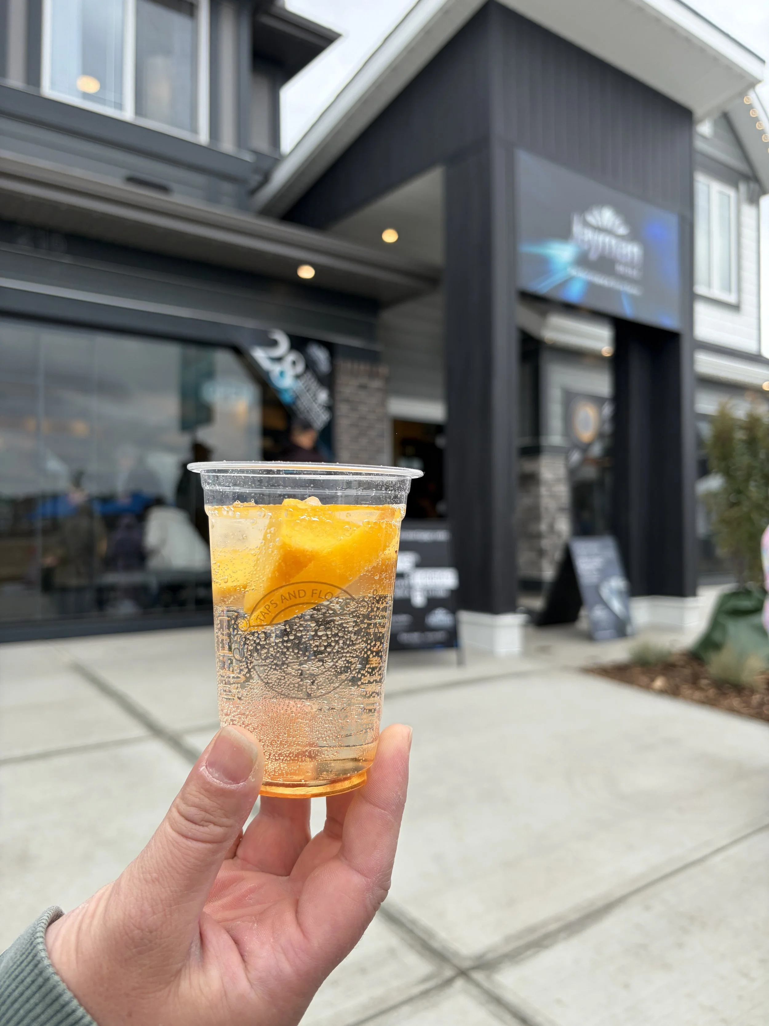 Suds & Sodas Peach Lemonade Jayma