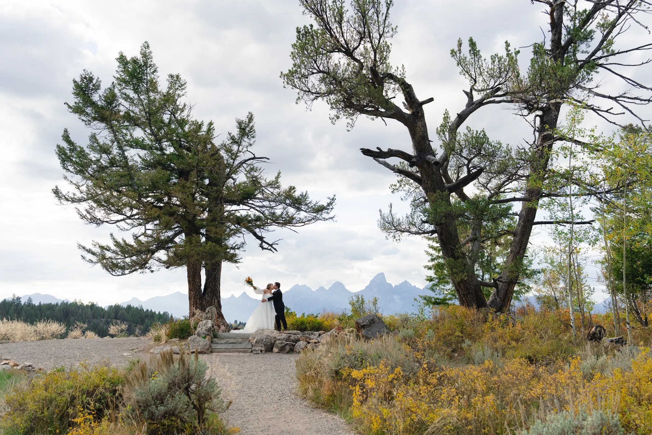 the-wedding-tree-elopement.jpg