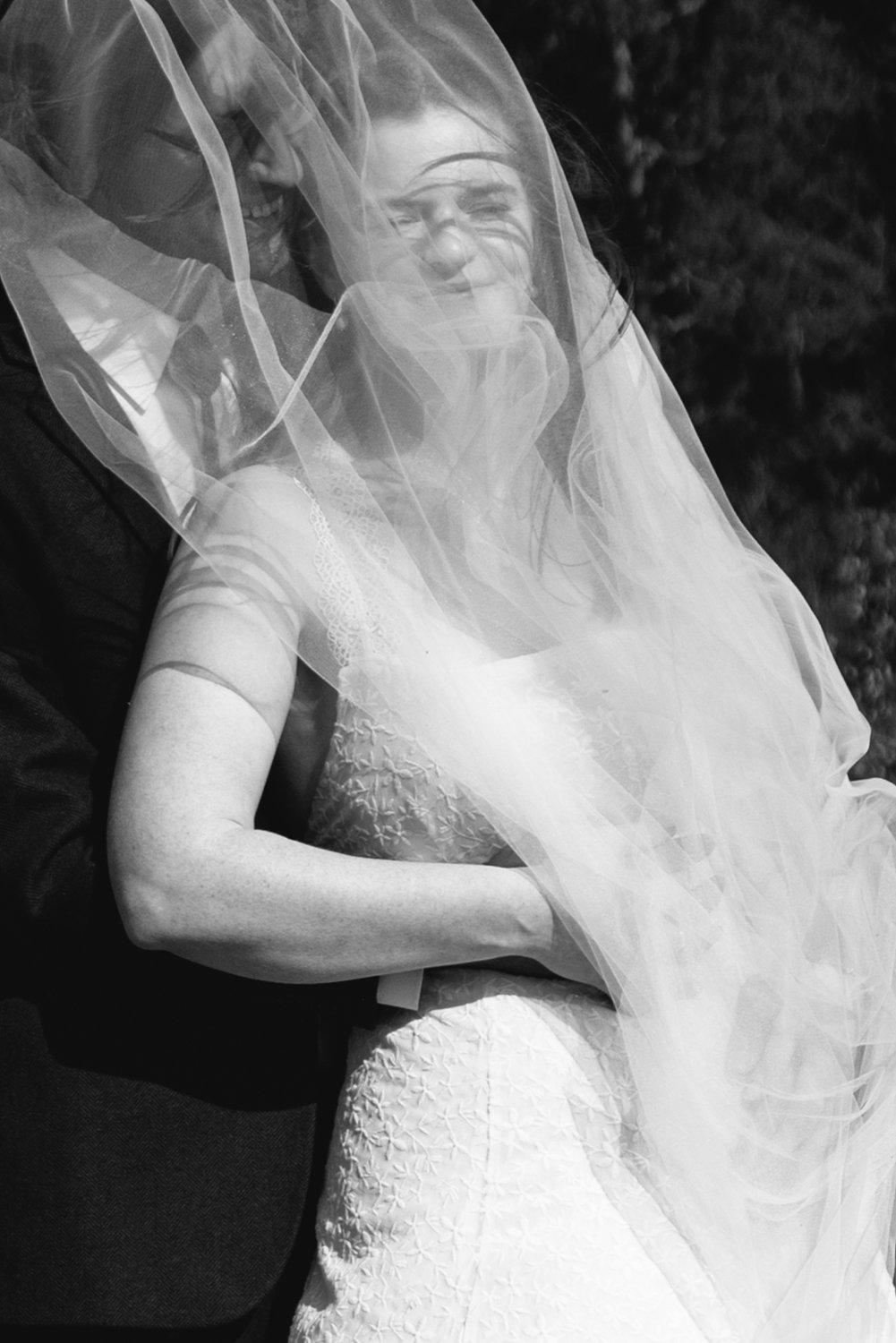 wind at the wedding tree in Jackson hole