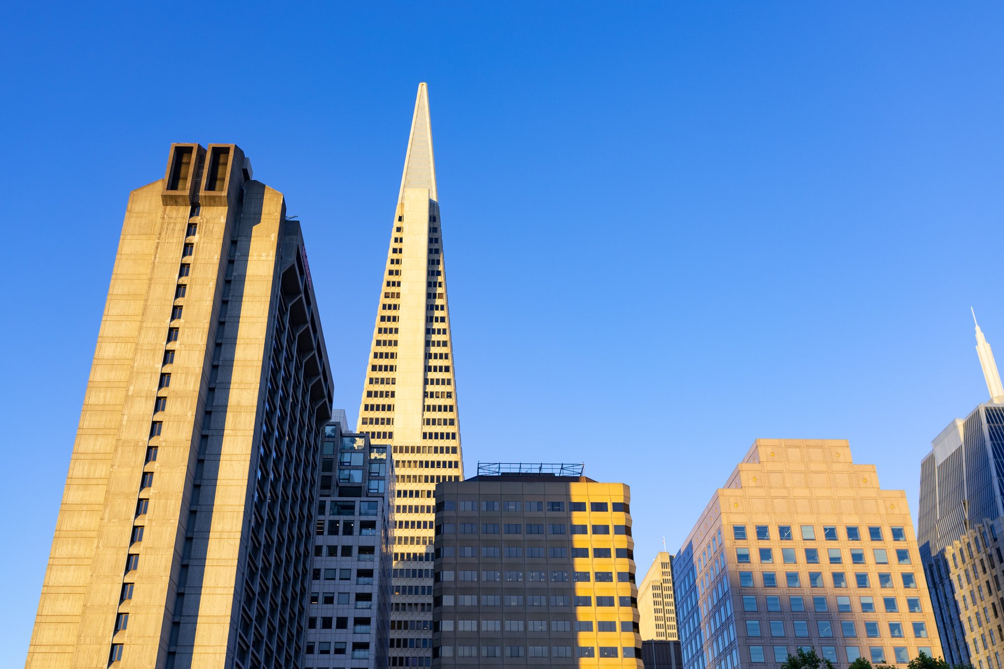 2024-07-02_SF BnB_edits_sm_0055.jpg