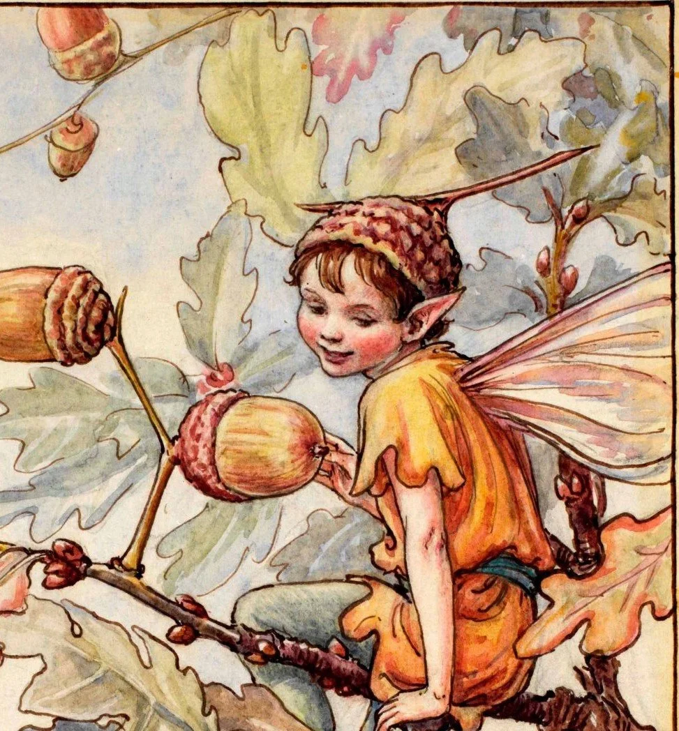 Scene From An Oak
