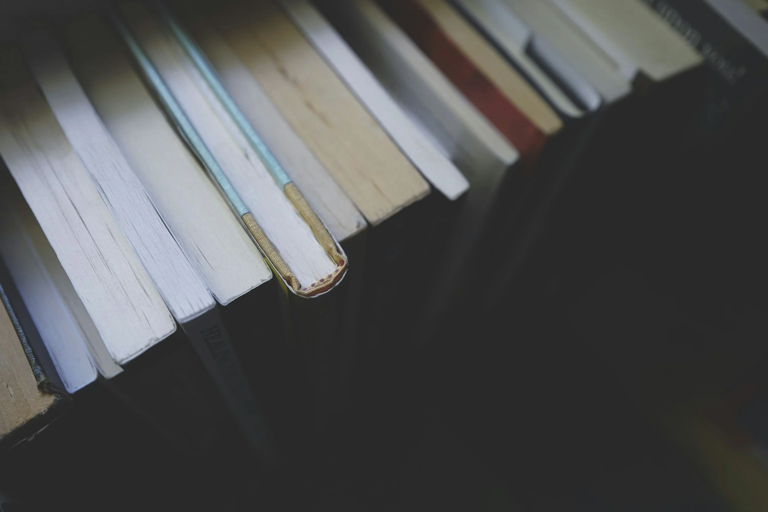 My Year In Books