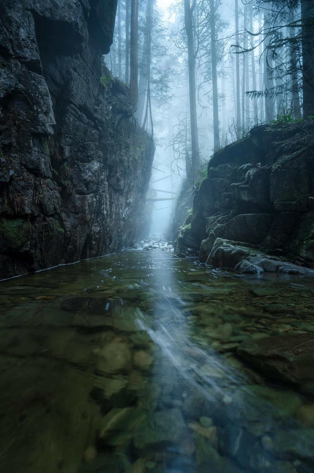 Fairy Roads and Forgotten Paths: When Victorian Travelers Feared the Otherworld