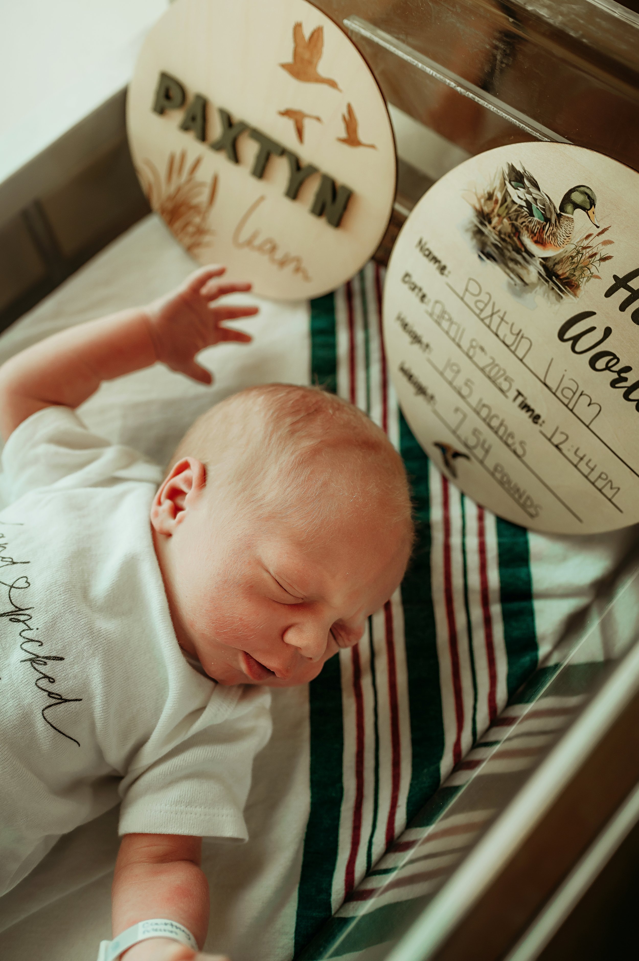 DSC_2428-Edit-2-fresh48 - Copy.jpg