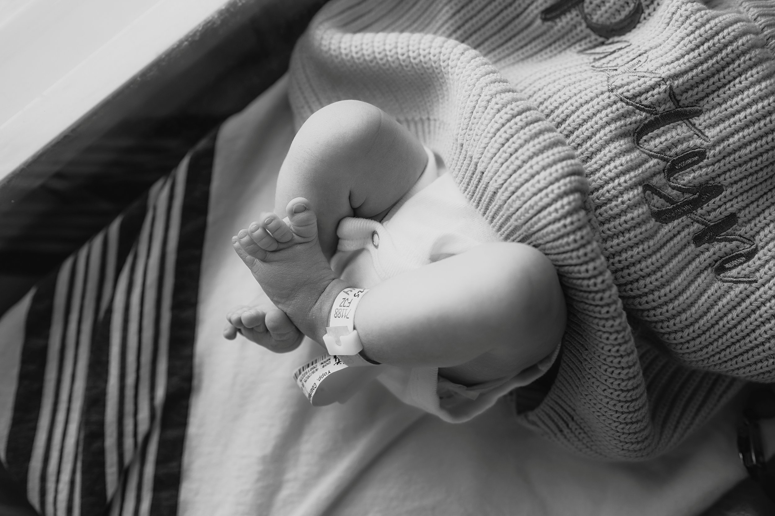 DSC_3170-Edit-fresh48-2 - Copy.jpg