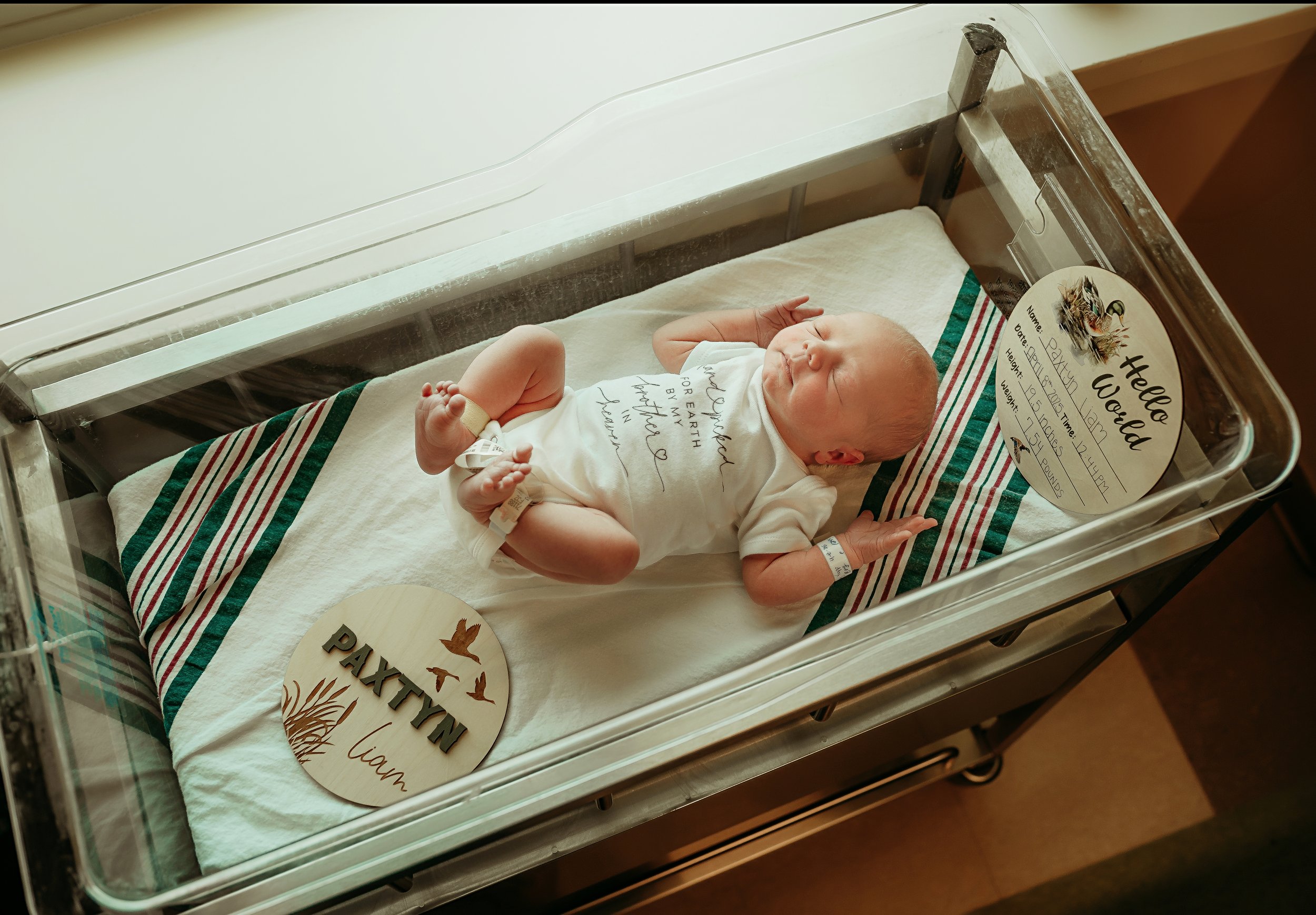 DSC_2802-Edit-2-fresh48 - Copy.jpg