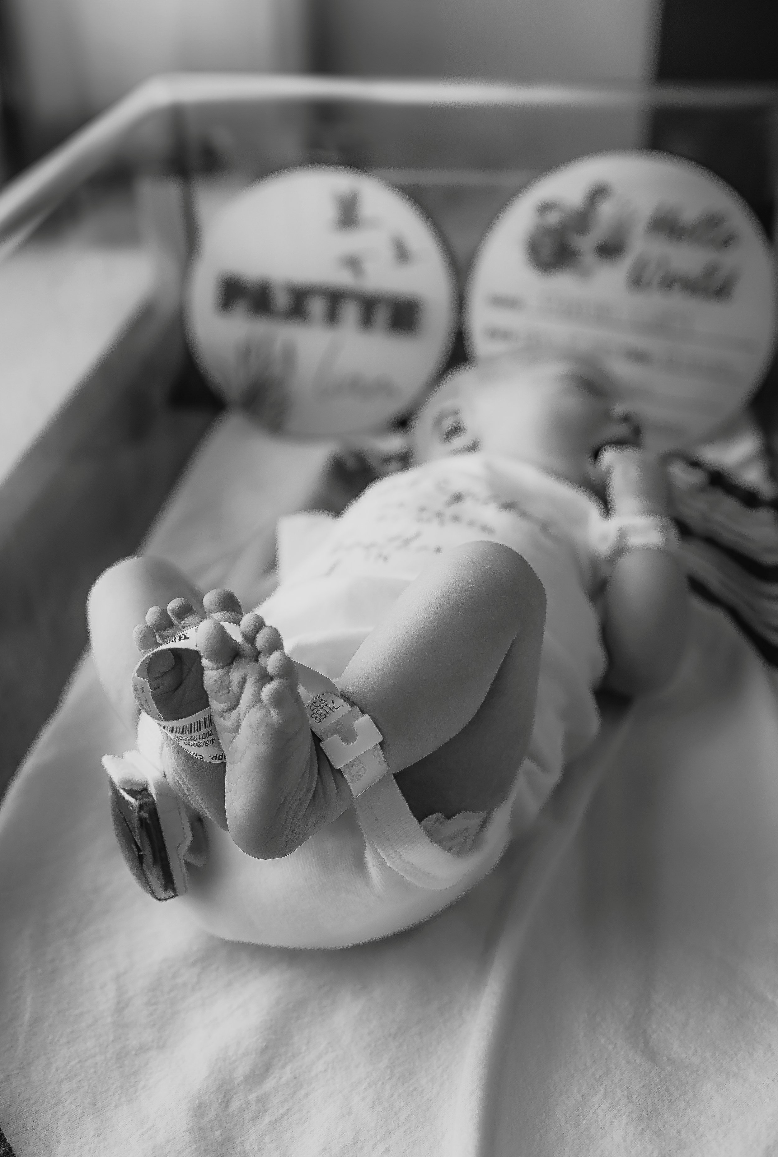 DSC_2466-Edit-2-fresh48-2 - Copy.jpg