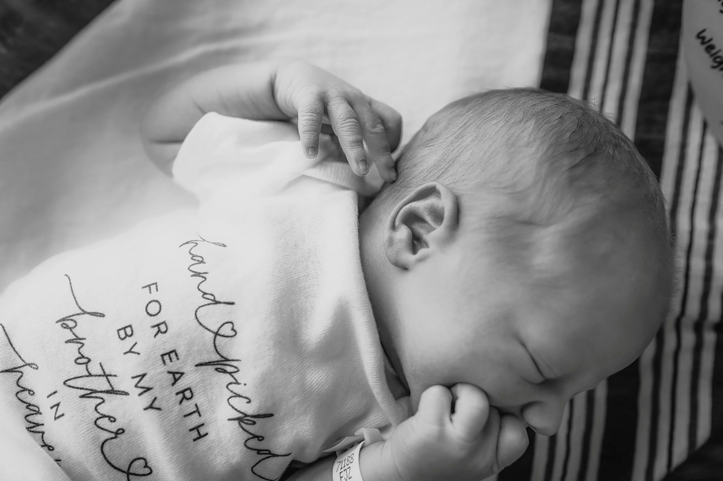 DSC_2557-Edit-2-fresh48-2 - Copy.jpg