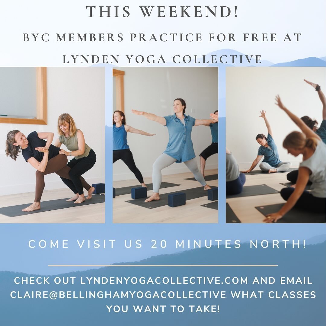 BYC has a few scheduled class cancellations due to an immersion this Fri-Sun. We are so sorry for the inconvenience and please know that this is the last time that cancellations for an immersion will be happening this year at BYC. We wanted to extend