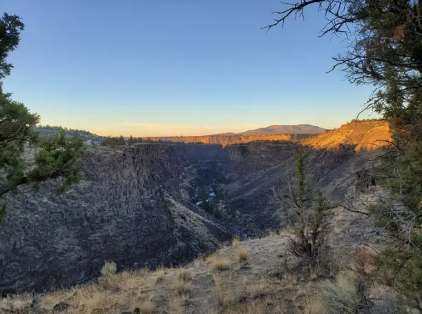 Screen Shot 2026-02-16 at 11.48.46 AM.png