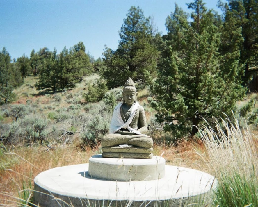 Screen Shot 2026-02-16 at 1.00.33 PM.png