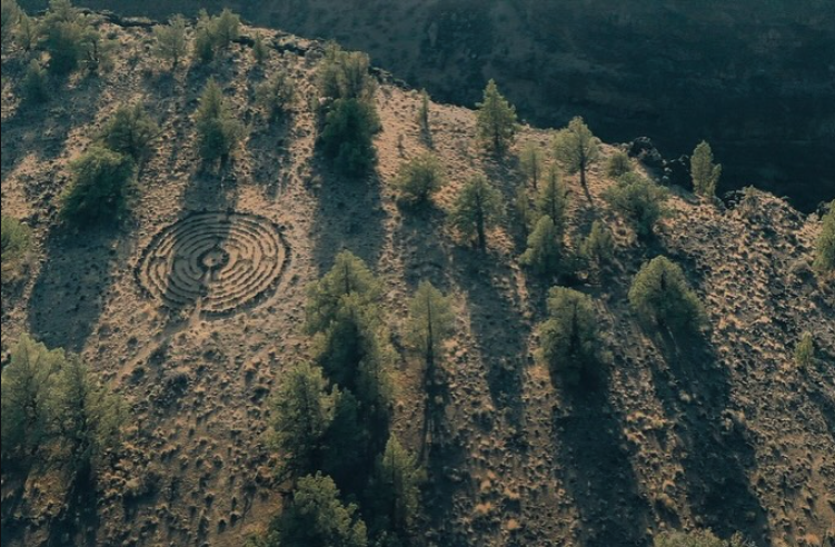 Screen Shot 2026-02-16 at 12.18.06 PM.png