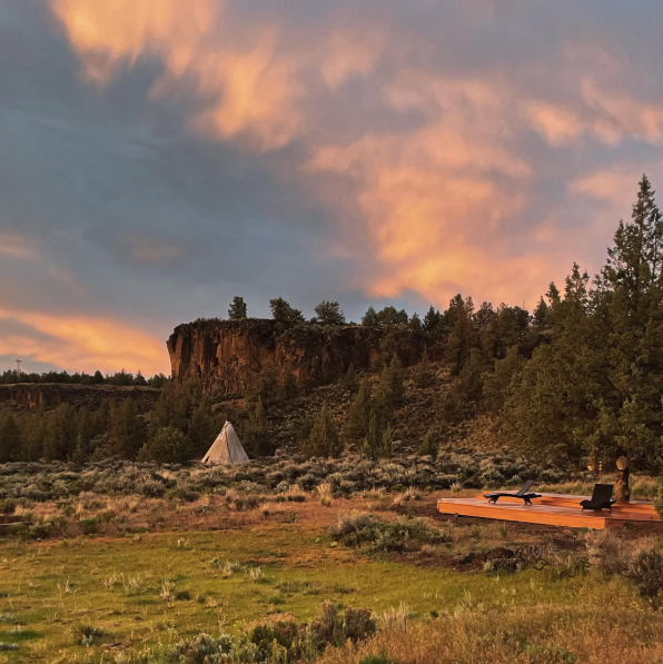 Screen Shot 2026-02-16 at 12.11.56 PM.png