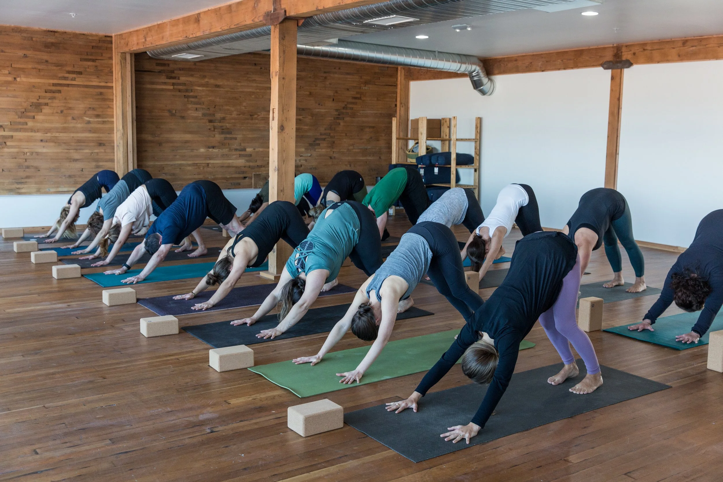 Class Styles Bellingham Yoga Collective