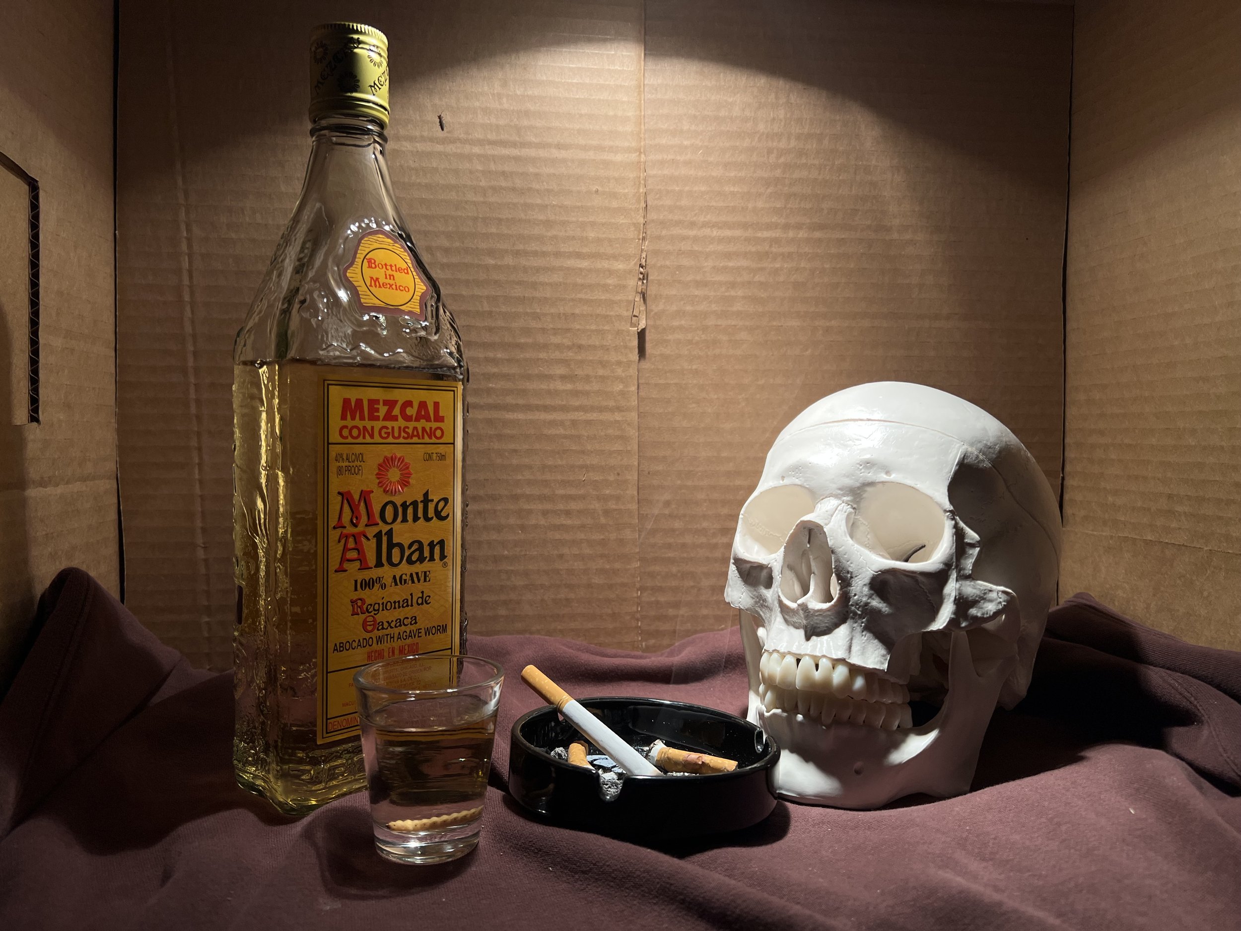 still life set up for painting