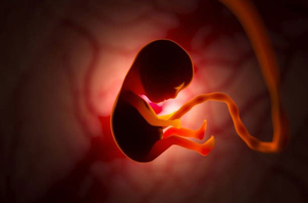 fetusFloating.jpg