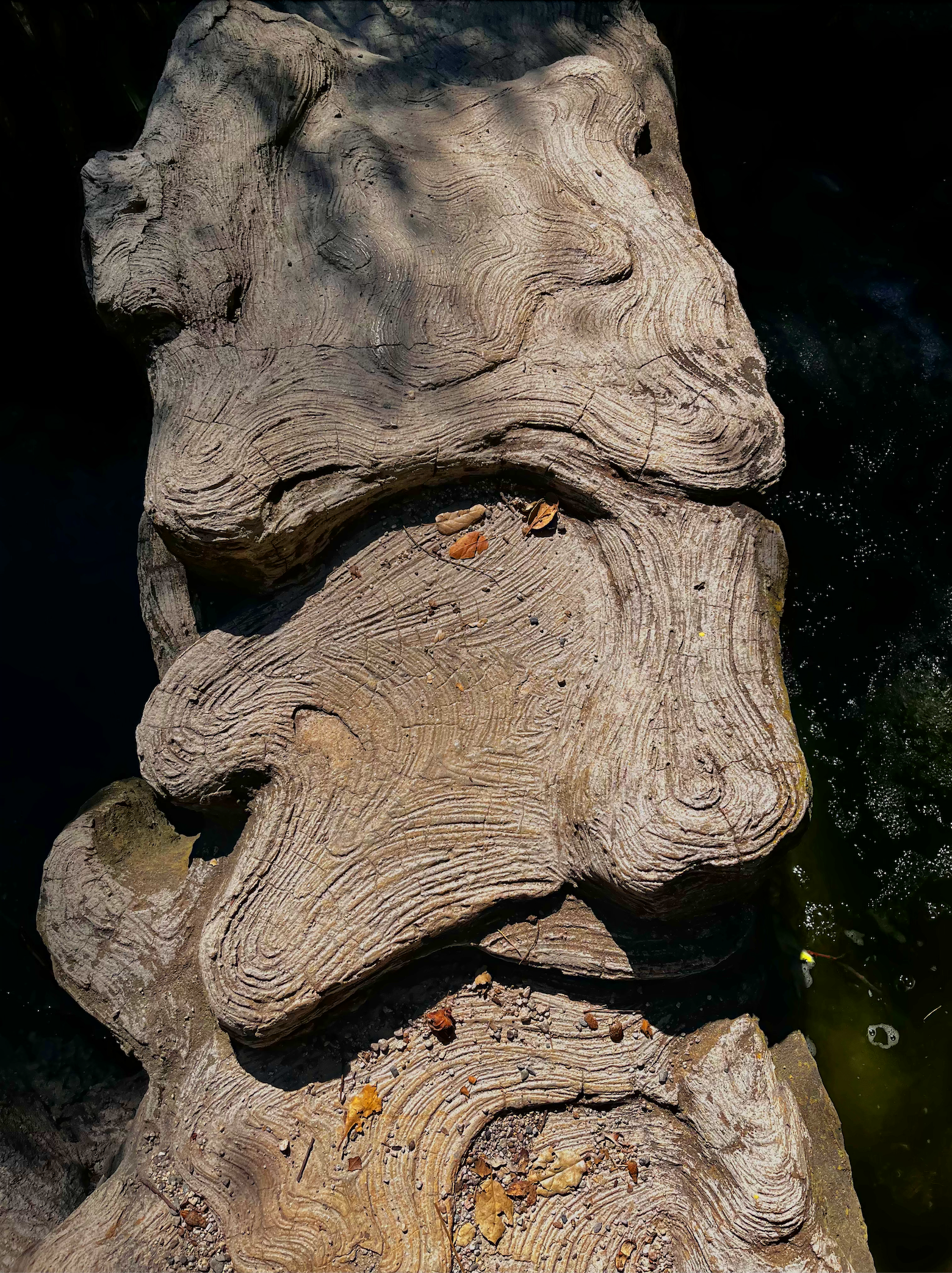 log.png